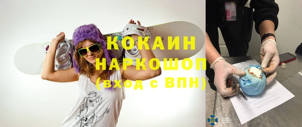 гидра Алексеевка